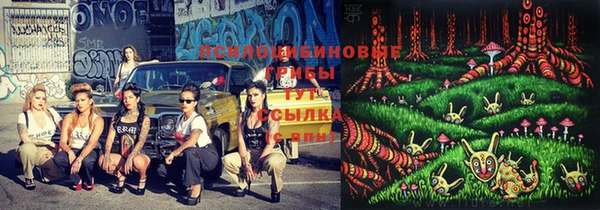 СК Абинск