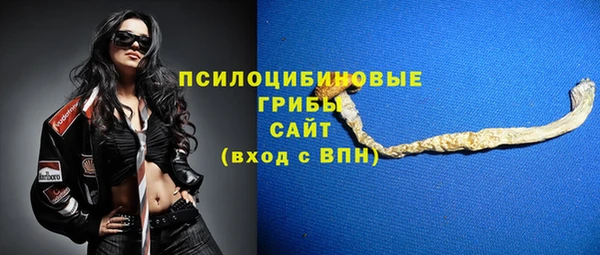СК Абинск